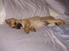 DSC00657.JPG