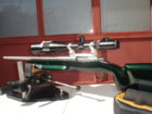 gun pics 018.JPG