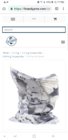 Screenshot_20190428-121755_Chrome.jpg