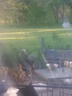 20190501_064721.jpg