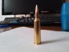 22-250.JPG