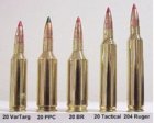 20 cal.JPG