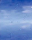 2ABC770B-B6E2-4280-9850-CCC7905E48BC.jpeg