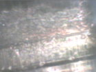 PICT0004.JPG