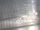 PICT0007.JPG