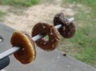 Donuts.jpg