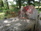DSC06855.JPG