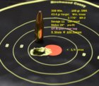 308-168smk-varget-5-shots-100m1.jpg