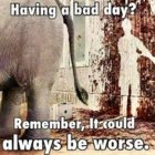 FB33AB2A-8AA6-4538-A96F-6D542F314FB6.jpeg