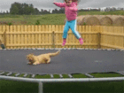 tumblr_pn595olF4j1ukxxj7o1_400.gif