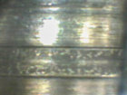 PICT0014.jpg PICT0014.jpg