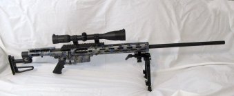 .308 redux.jpg