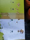 IMG_20190618_165504.jpg