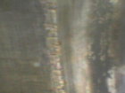Carbon4.JPG