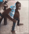 tumblr_ouurd3rG0r1u3g509o1_400.gif