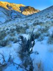 hike w rifle.jpg