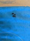 IMG_20190627_163931.jpg