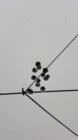 20190704_085220.jpg