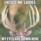 3BDE1282-E622-4F86-A0EC-3AAFF3EE8E96.jpeg