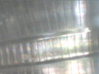 original model.JPG