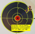 target_image.jpg