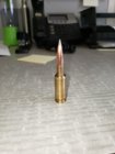 6BRA Hornady 110gr ATIP.jpg