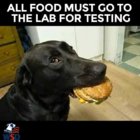 12670813_10153383882356583_4344076984396143815_n.jpg