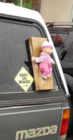 upload_2019-8-8_0-9-12.png
