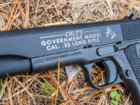 colt.jpg