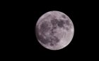 2019-08-14_02-48-46.jpg