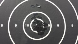 Shehane600_target.jpg