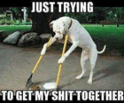 upload_2019-8-18_16-45-12.png