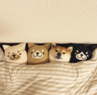 upload_2019-8-19_20-50-41.png