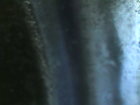 IMG110101-002626F.JPG