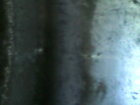 IMG110101-002253F.JPG
