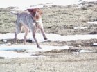 100_0210.jpg