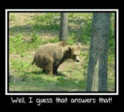 i-guess-that-answers-that.jpg