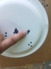 Resized_20190912_110447_3303.jpeg