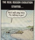 thumbnail (73).jpg
