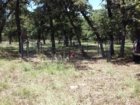 20180623_143730.jpg