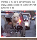 upload_2019-9-22_23-16-39.png
