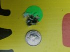 20181005_144052.jpg