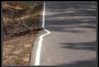 Not My Job 2.jpg