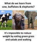 learn from elephants.jpeg
