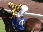 jocky.gif