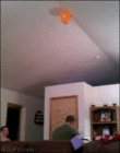 kid throw.gif