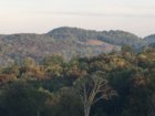 IMG_1929.JPG