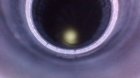WIN_20191005_11_56_12_Pro.jpg