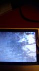 IMG-20180724-WA0000.jpg