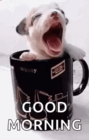 received_2639916009403664-1.png